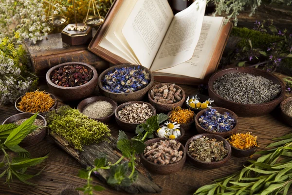 Medicina herbal e livros sobre mesa de madeira — Fotografia de Stock