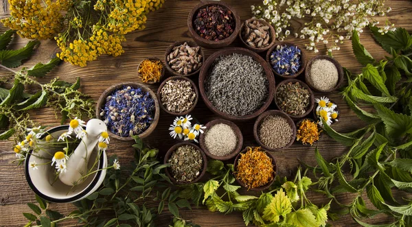 Dried herbs and mortar — Stock Photo, Image