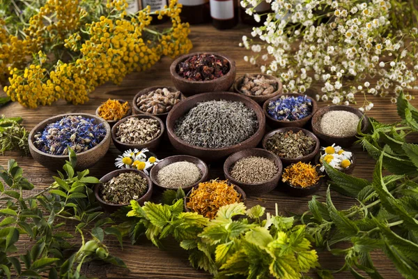 Healing herbs on wooden desk — Stock Photo, Image