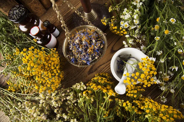 Medicina herbal e livros sobre mesa de madeira — Fotografia de Stock