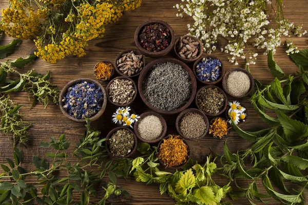 Dried herbs and mortar — Stock Photo, Image