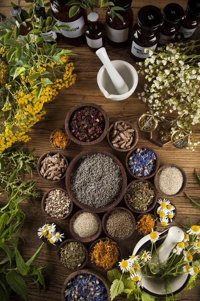 Herbs and mortar on wooden table — Stock Photo, Image