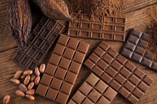 초콜릿, 카 카오 콩 및 분말 — 스톡 사진