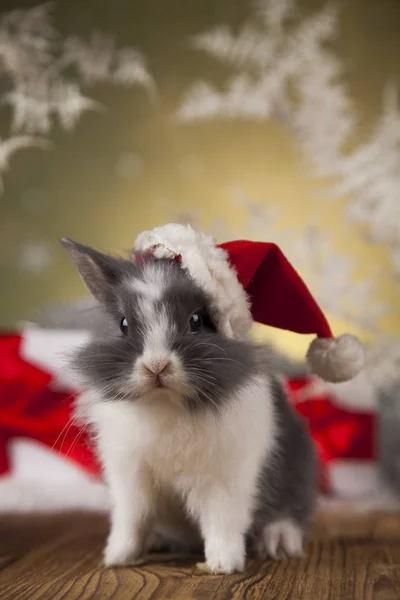 Gorro De Navidad Para Mascotas Pequeñas Sombrero De Santa Claus