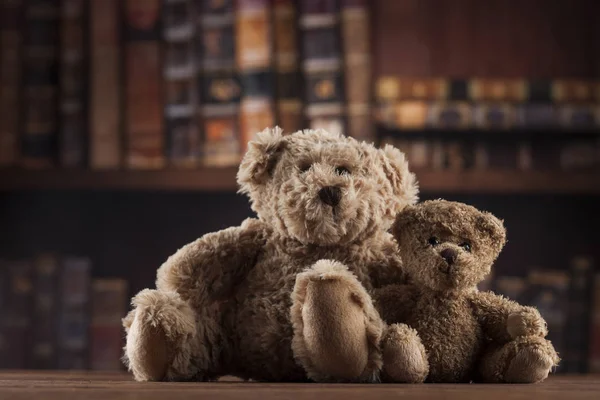 Niedliche Teddybären — Stockfoto