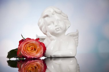 Çiçek ile melek. Kavramı 