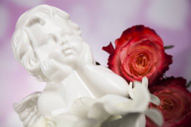 Çiçek ile melek. Kavramı 