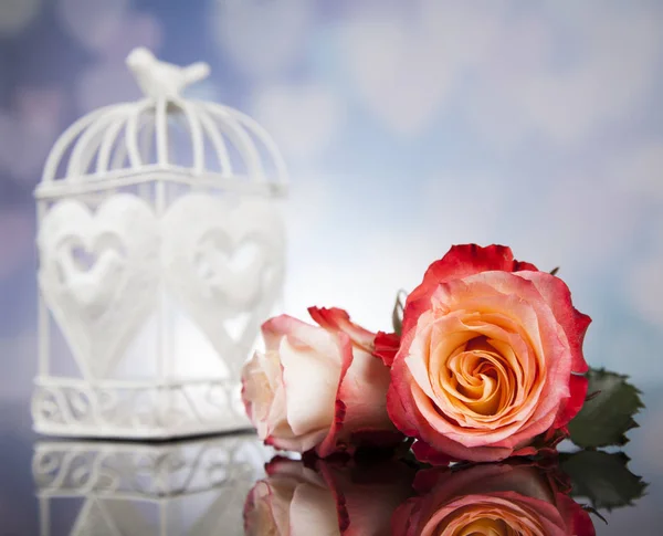 Láska klec s květinami — Stock fotografie