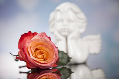 Çiçek ile melek. Kavramı 