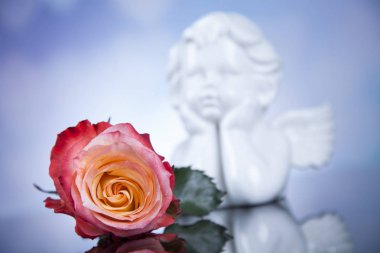 Çiçek ile melek. Kavramı 