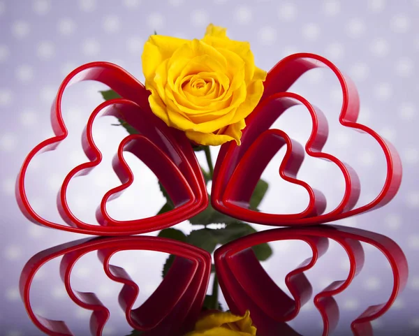 Серця і троянди. День Святого Валентина — стокове фото
