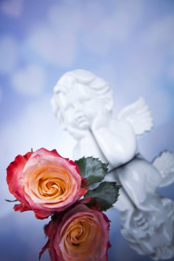 Çiçek ile melek. Kavramı 