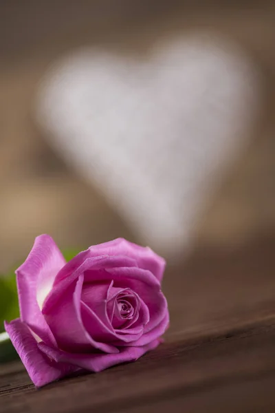 Hart en rose. Valentijnsdag — Stockfoto