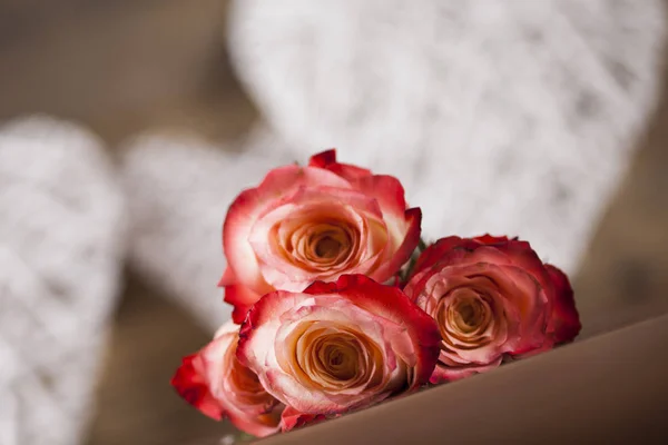 Bouquet de roses fraîches — Photo