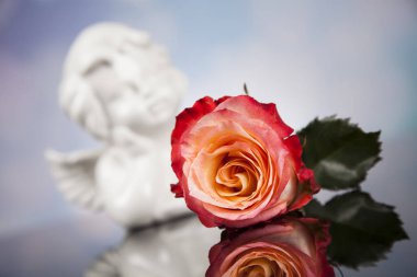 Çiçek ile melek. Kavramı 