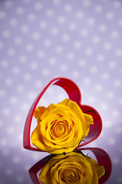 Hart en rose voor Valentines day — Stockfoto