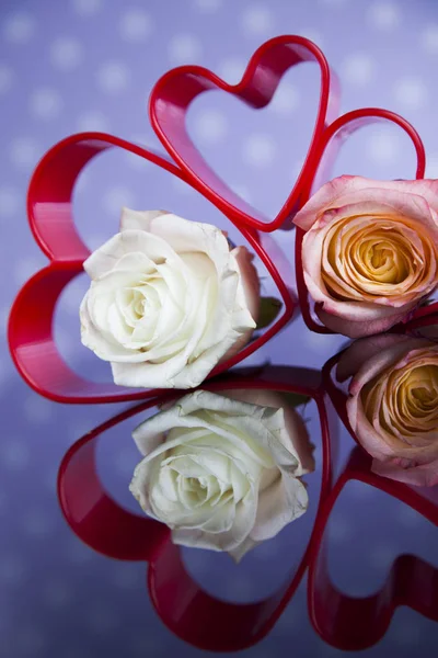 Hart en rozen voor Valentijnsdag — Stockfoto