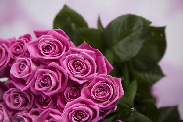 Bouquet of fresh roses — Stock Photo, Image