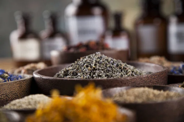 Medicina herbal en escritorio de madera — Foto de Stock