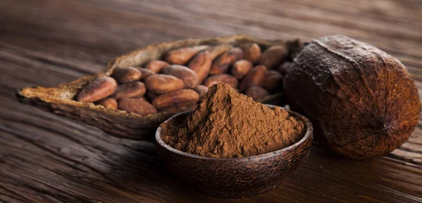 Cocoa beans in the dry cocoa pod — Stock Photo, Image