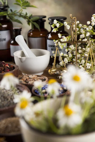Alternative medicine, dried herbs — Stock Photo, Image