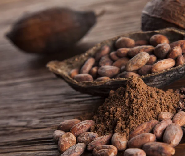 Cocoa pod on wooden background