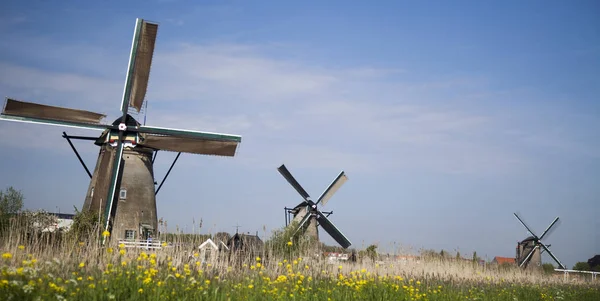 Wiatraki w Kinderdijk w Holandii — Zdjęcie stockowe