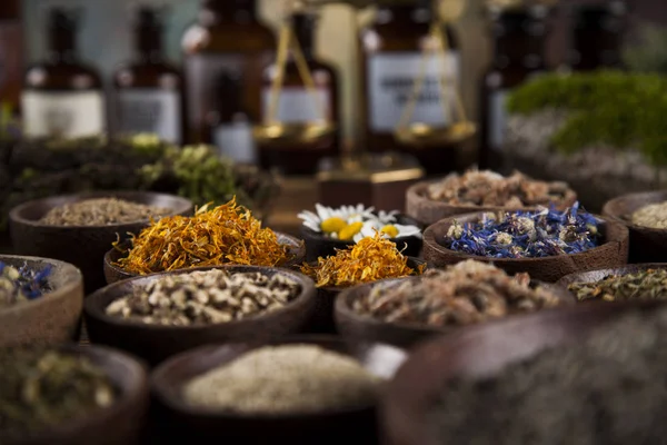 Healing herbs, Natural medicine — Stock Photo, Image