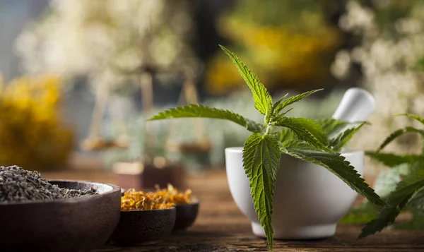 Helande örter, naturmedicin — Stockfoto