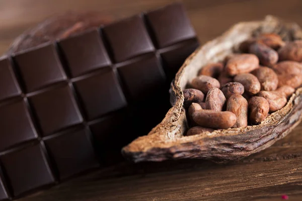 Cocoa pod and cocoa beans — Stock Photo, Image