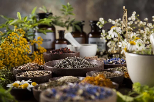 Healing herbs on wooden table — Stock Photo, Image