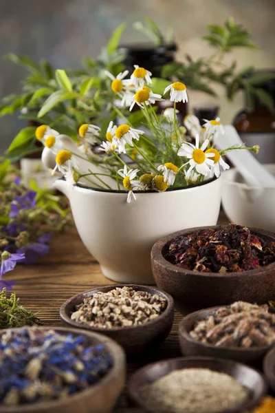 Herbes de guérison sur table en bois — Photo