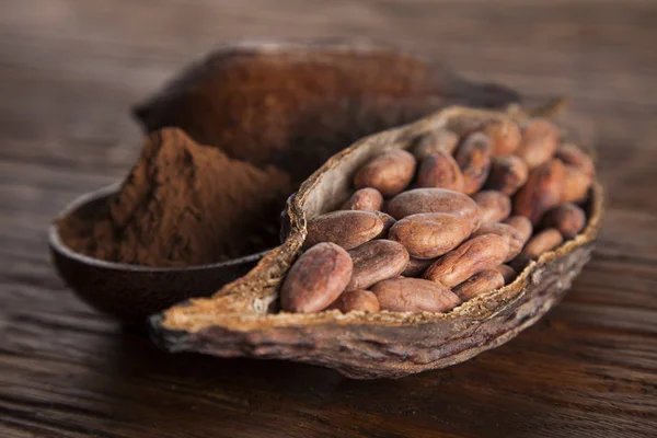 Какао-бобы в капсуле сухого какао — стоковое фото