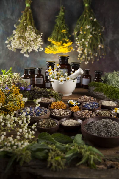 Healing herbs, Natural medicine — Stock Photo, Image