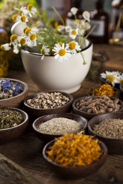 лечебные травы, Природная медицина
 