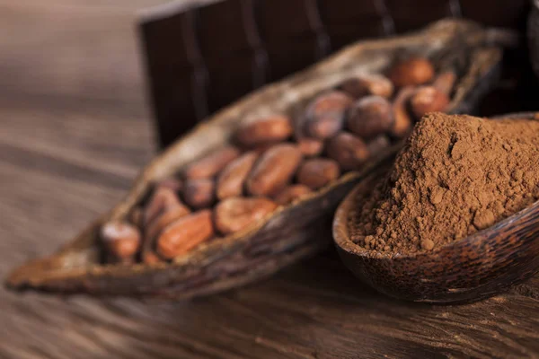 Cocoa pod and cocoa beans