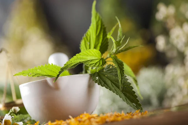 Herbal medicine on wooden desk — Stock Photo, Image