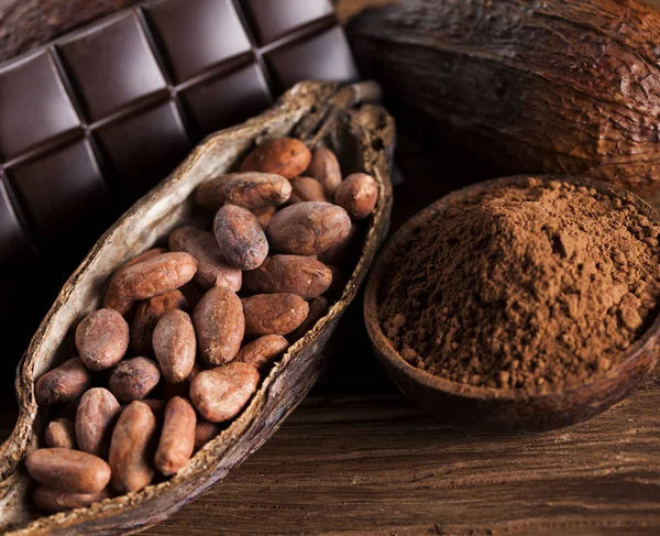 Cocoa pod and cocoa beans