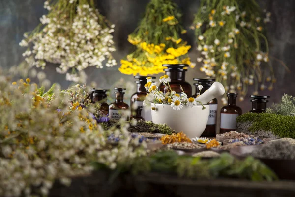 Herbes médicinales, Médecine naturelle — Photo