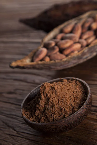 Frijoles de cacao en la vaina de cacao seco —  Fotos de Stock