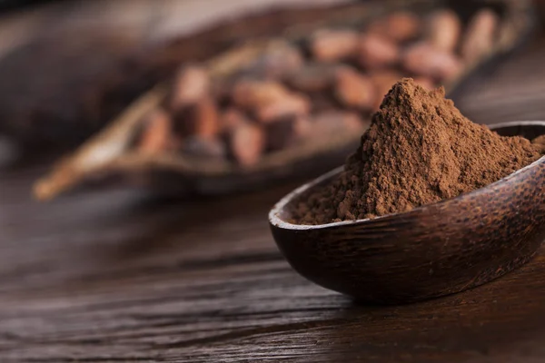 Cocoa pod and cocoa beans — Stock Photo, Image