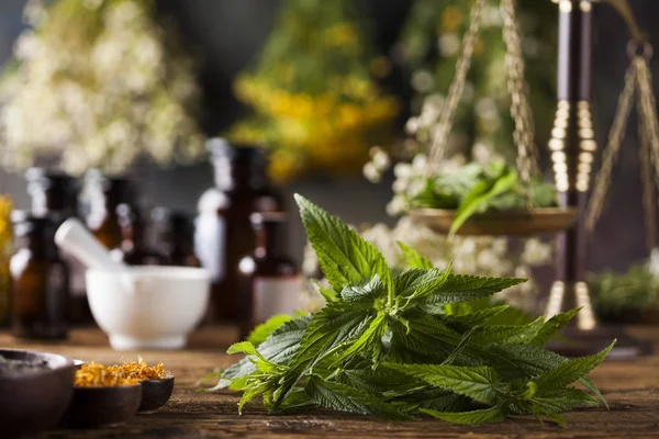 Natural medicine, Herbal medicine — Stock Photo, Image