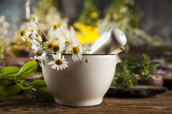 Kruidengeneeskunde op houten bureau — Stockfoto