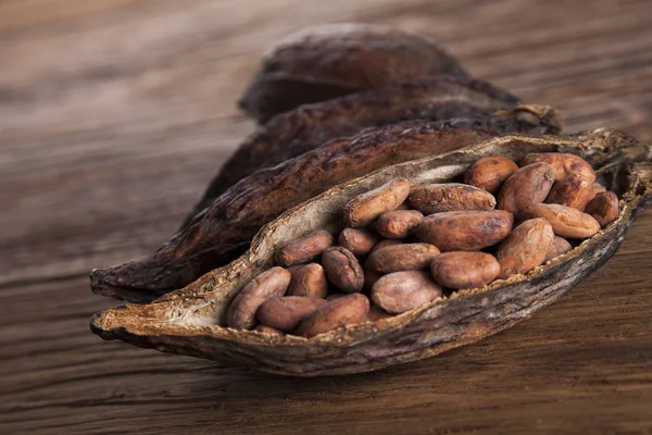 Vaina de cacao sobre fondo de madera —  Fotos de Stock