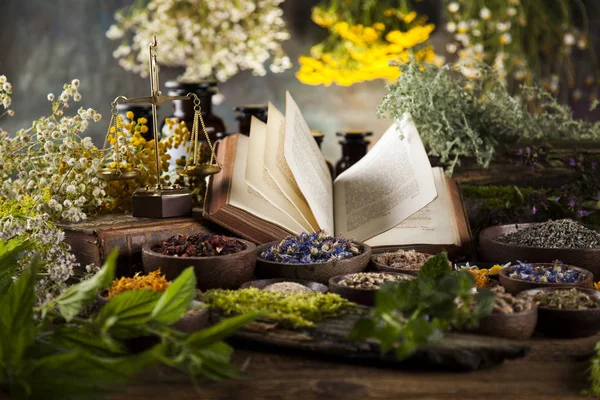 Healing herbs, Natural medicine — Stock Photo, Image