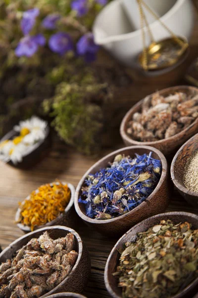 Healing herbs, Natural medicine — Stock Photo, Image