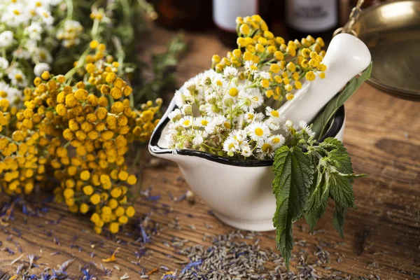 Medicina herbal em mesa de madeira — Fotografia de Stock