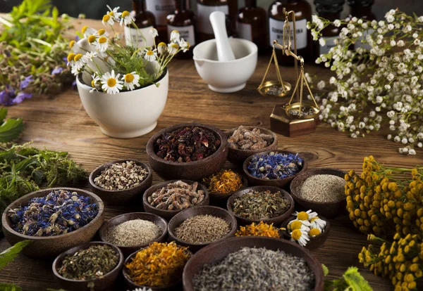 Healing urter på træbord - Stock-foto