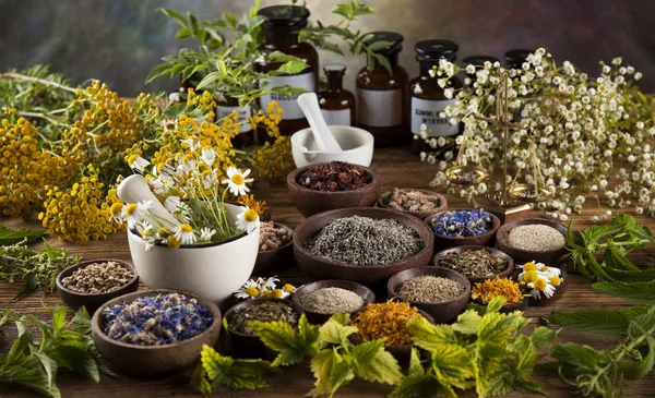 Herbes médicinales, Médecine naturelle — Photo