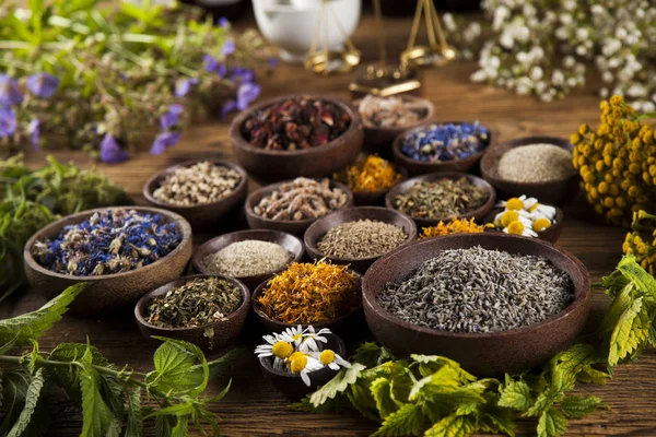 Ervas curativas na mesa de madeira — Fotografia de Stock